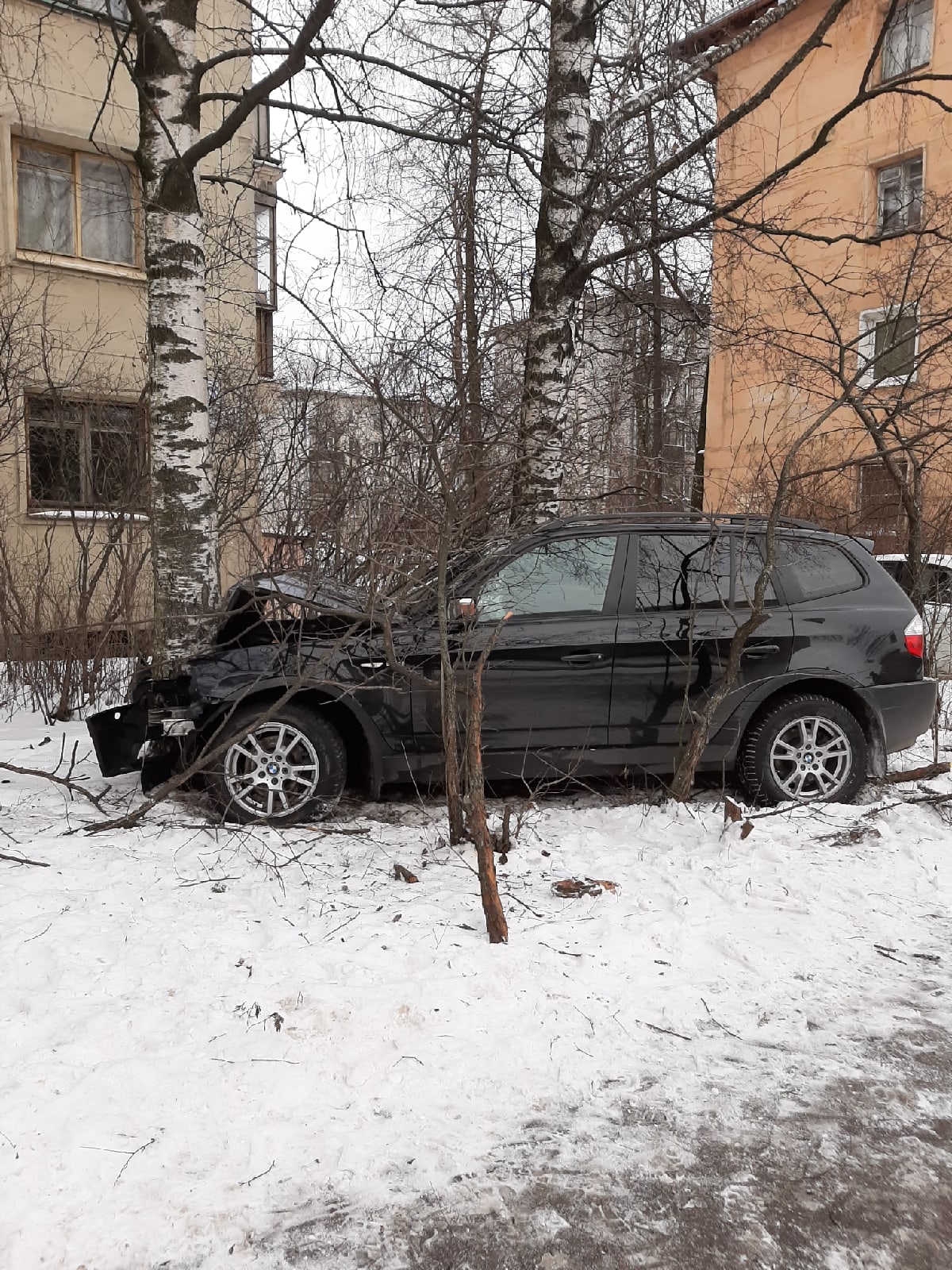 Немец и русская березка»: на улице Танкиста Хрустицкого «БМВ» врезался в  дерево, девушке-водителю понадобилась помощь — Мегаполис