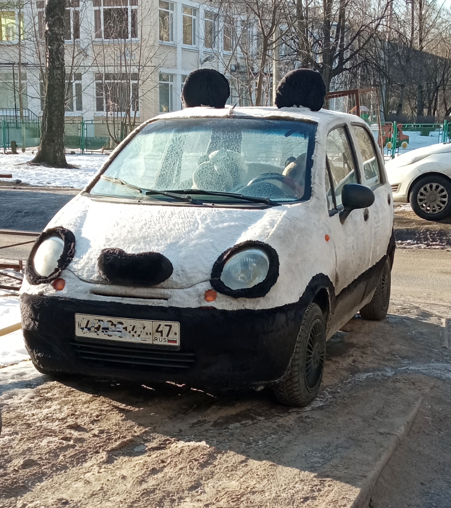 В Петербурге «поселилась» машинка-панда — Мегаполис