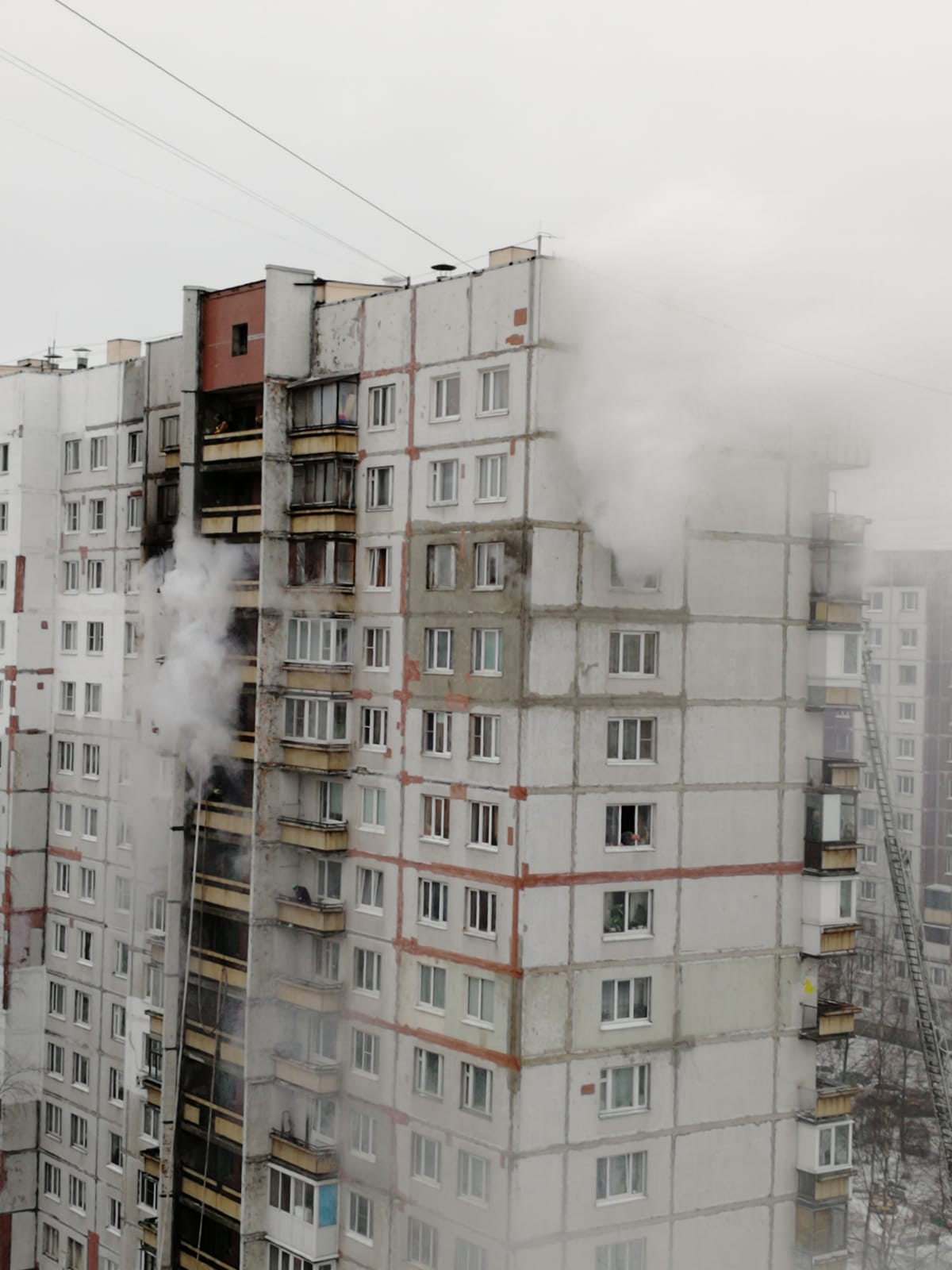 Жени егоровой спб. Жени Егоровой 4 к 3 пожар. Пожар на жени Егоровой. Улица жени Егоровой 4/3. Ул. жени Егоровой 4к3.