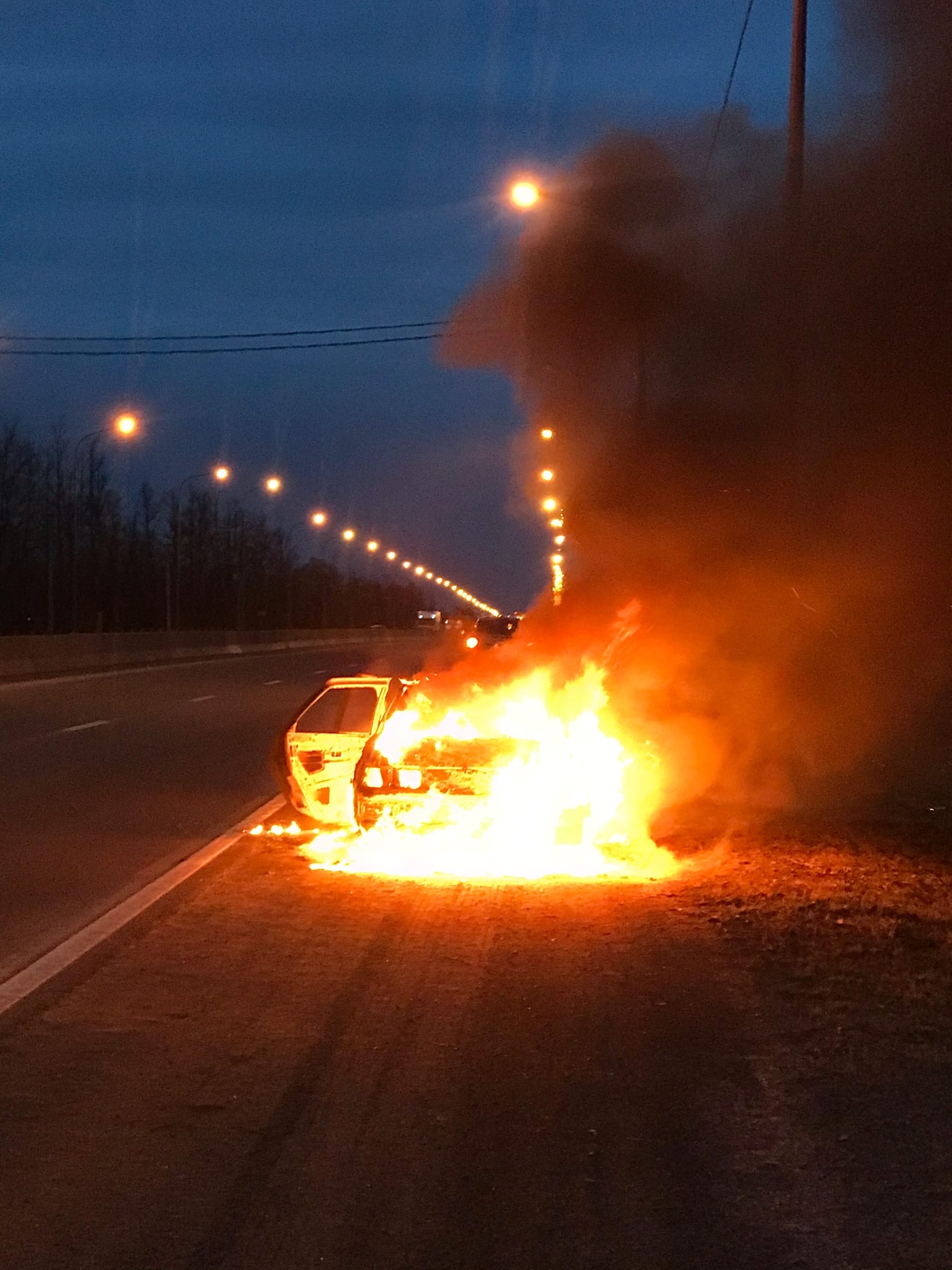 ВАЗ 2112 сгорел в Тосненском районе, пострадавших нет — Мегаполис