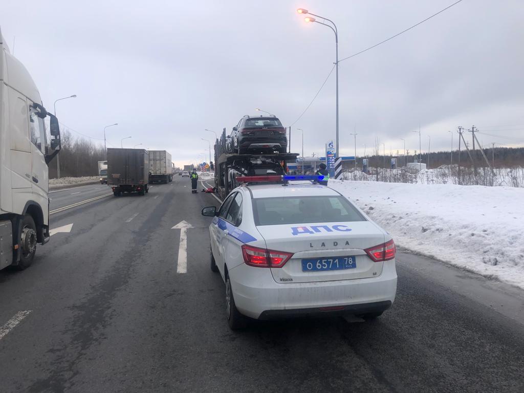 Полиция Ленобласти со стрельбой догоняла автовоз на трассе «Россия» —  Мегаполис