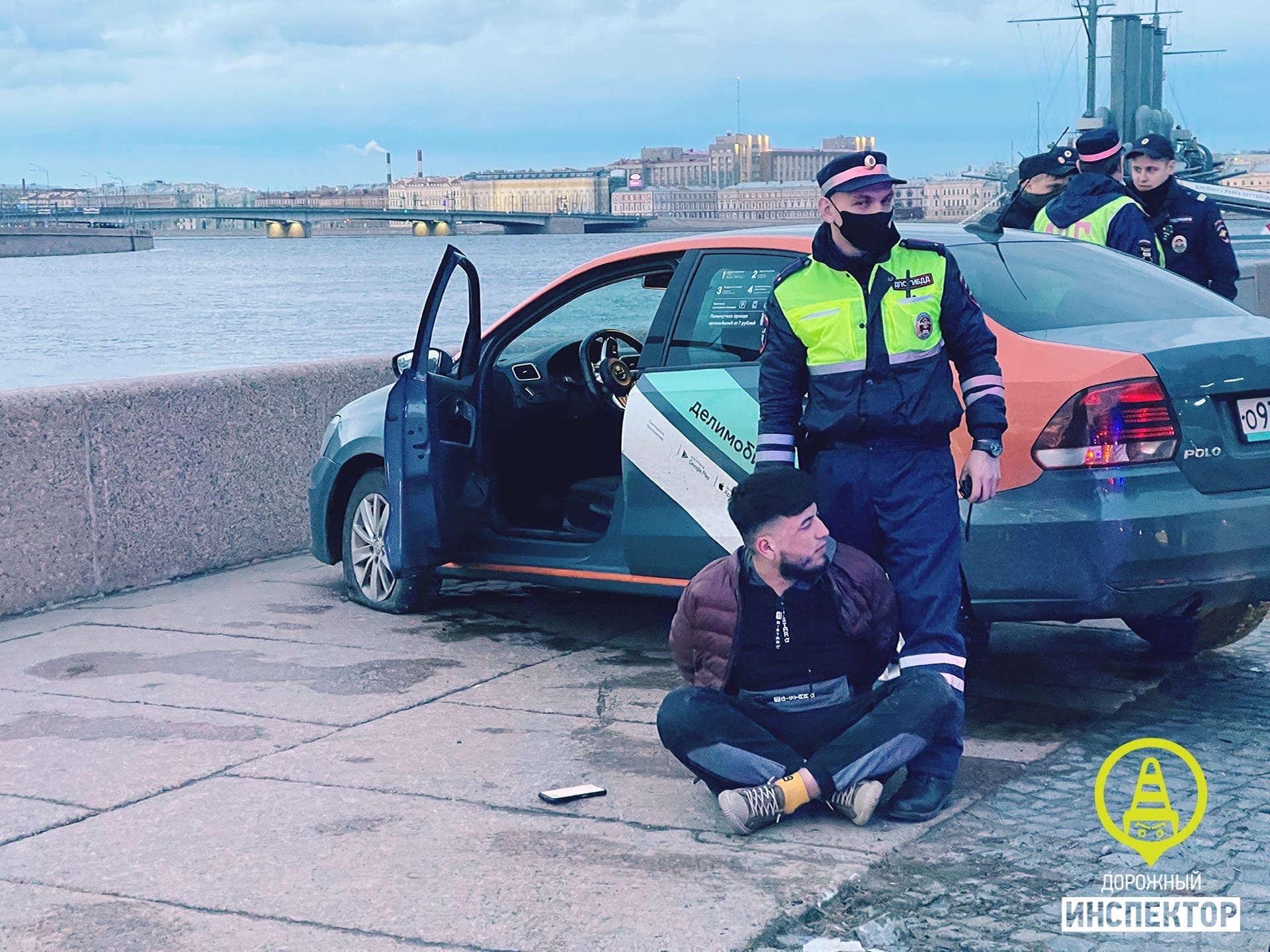 В Петербурге активизировались клещи. Одного заметили на живородящей ящерице  — Мегаполис