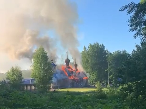 Ель в парголово в честь трезора фото