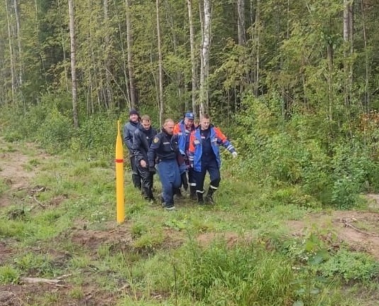 Под дубровкой. Лесной массив. Поселок в лесу.