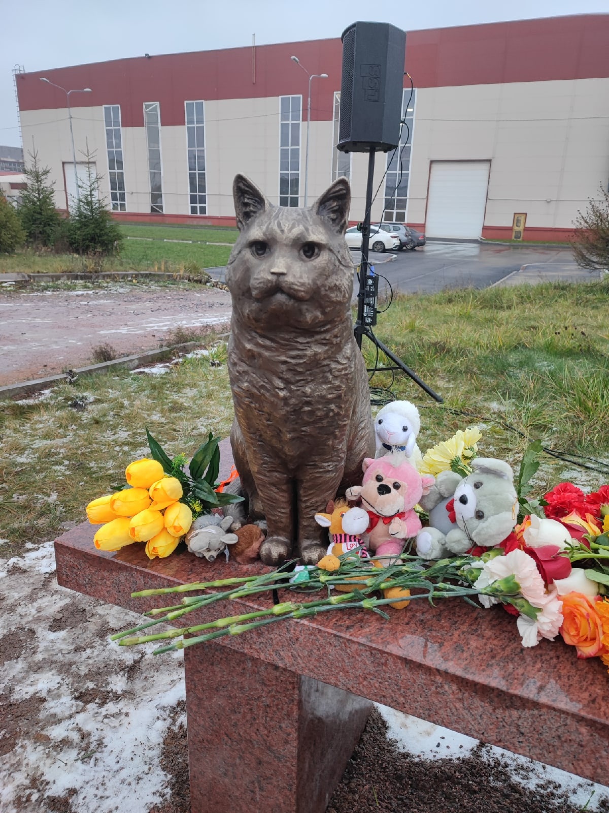 Памятник замученным животным поставили в Петербурге — Мегаполис