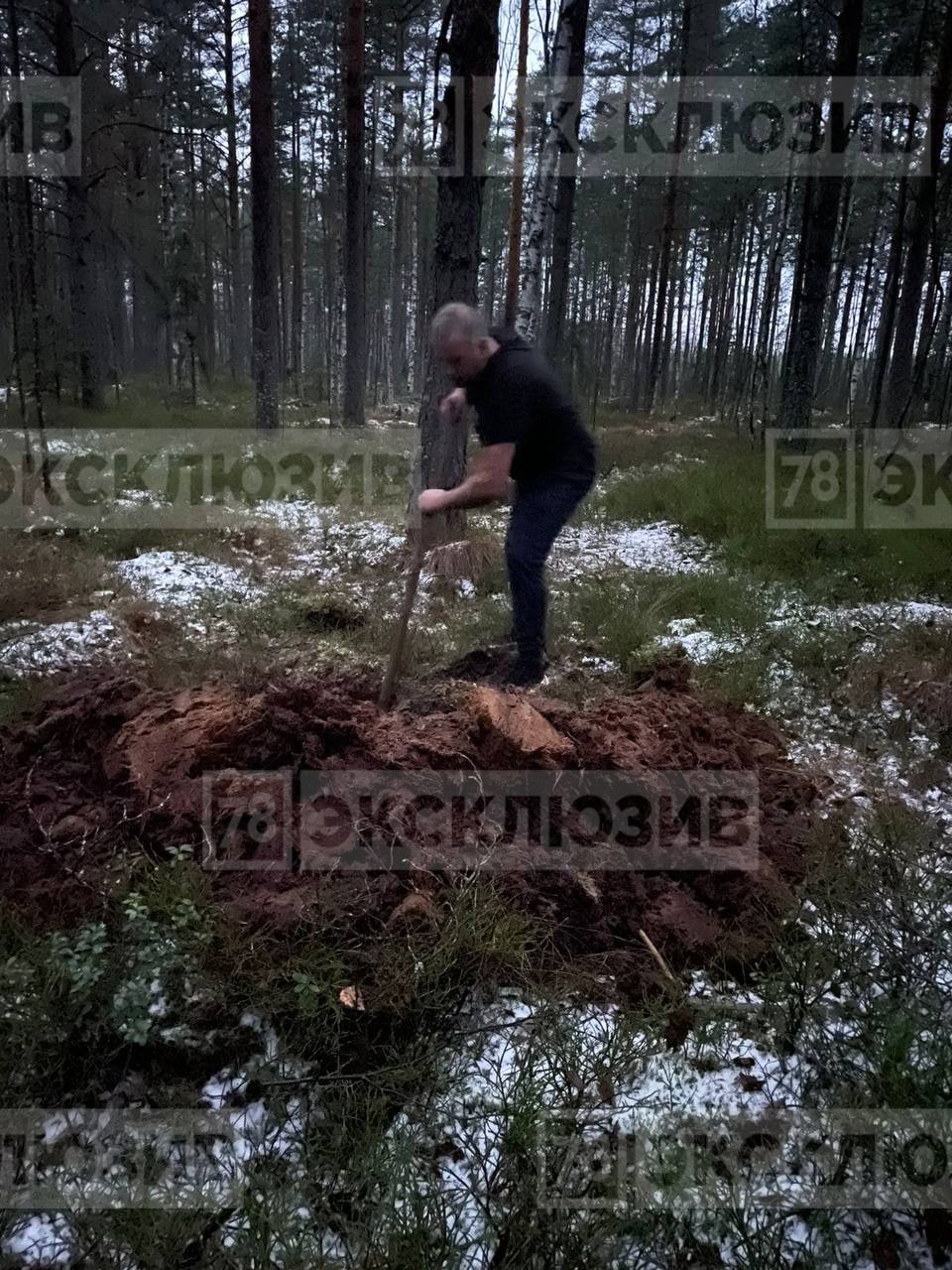 Петербургский кинопродюсер рассказал, как его заставили рыть могилу в лесу  — Мегаполис