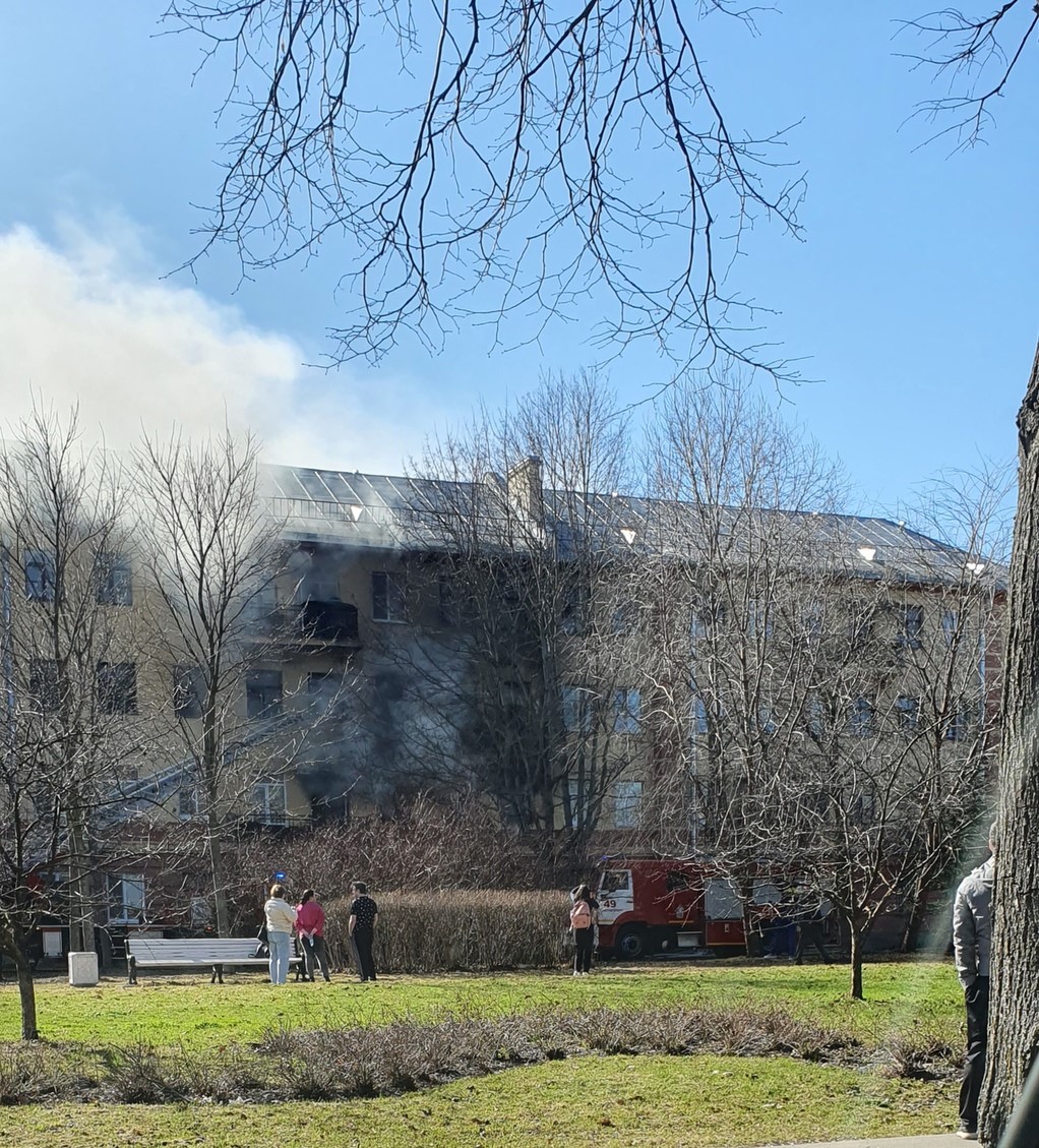 Мужчина погиб и две женщины пострадали в пожаре в Пушкине — Мегаполис