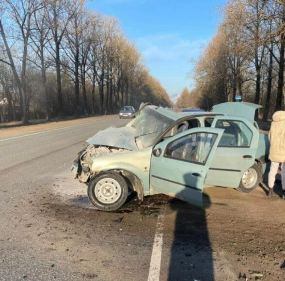 Девочка из логана сейчас