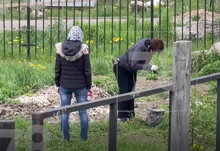 Тело недоношенного ребенка нашли в канализационном колодце в городе .