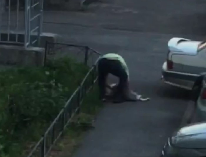 На утренней пробежке находит убитого соседского мальчика. Собаку выбросили из машины. Соседский пес. Выросил собаку из окна. Выкинули собаку из окна в Ленсоветовское.