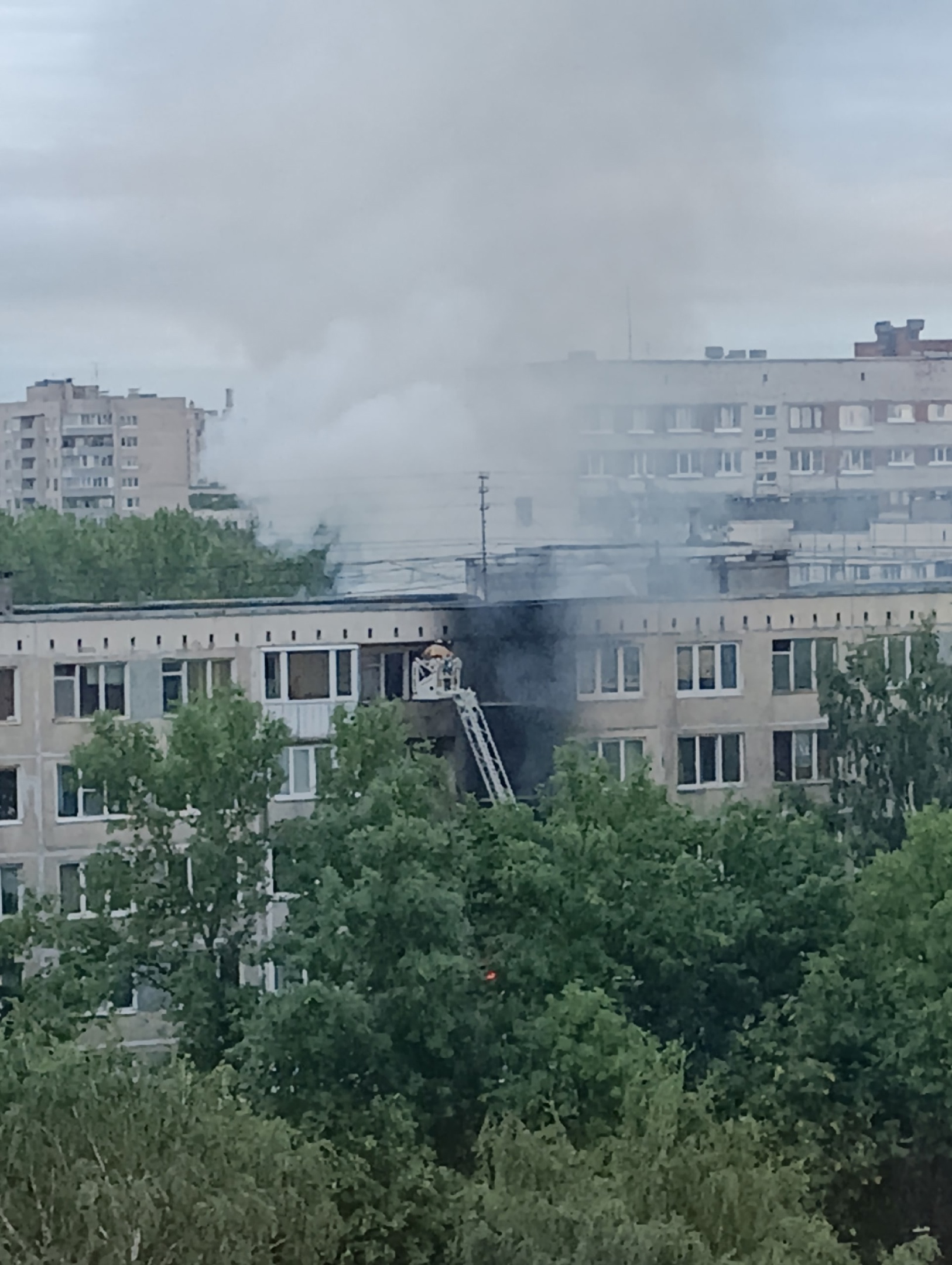 Девушки получили переломы, собака сгорела, пока пожарные не могли подъехать  к дому на Гражданском проспекте — Мегаполис