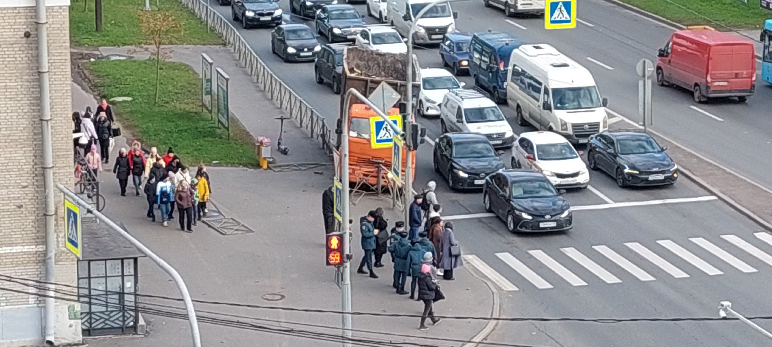 На Обводном канале спасли сову, наблюдавшую за нарушениями ПДД — Мегаполис