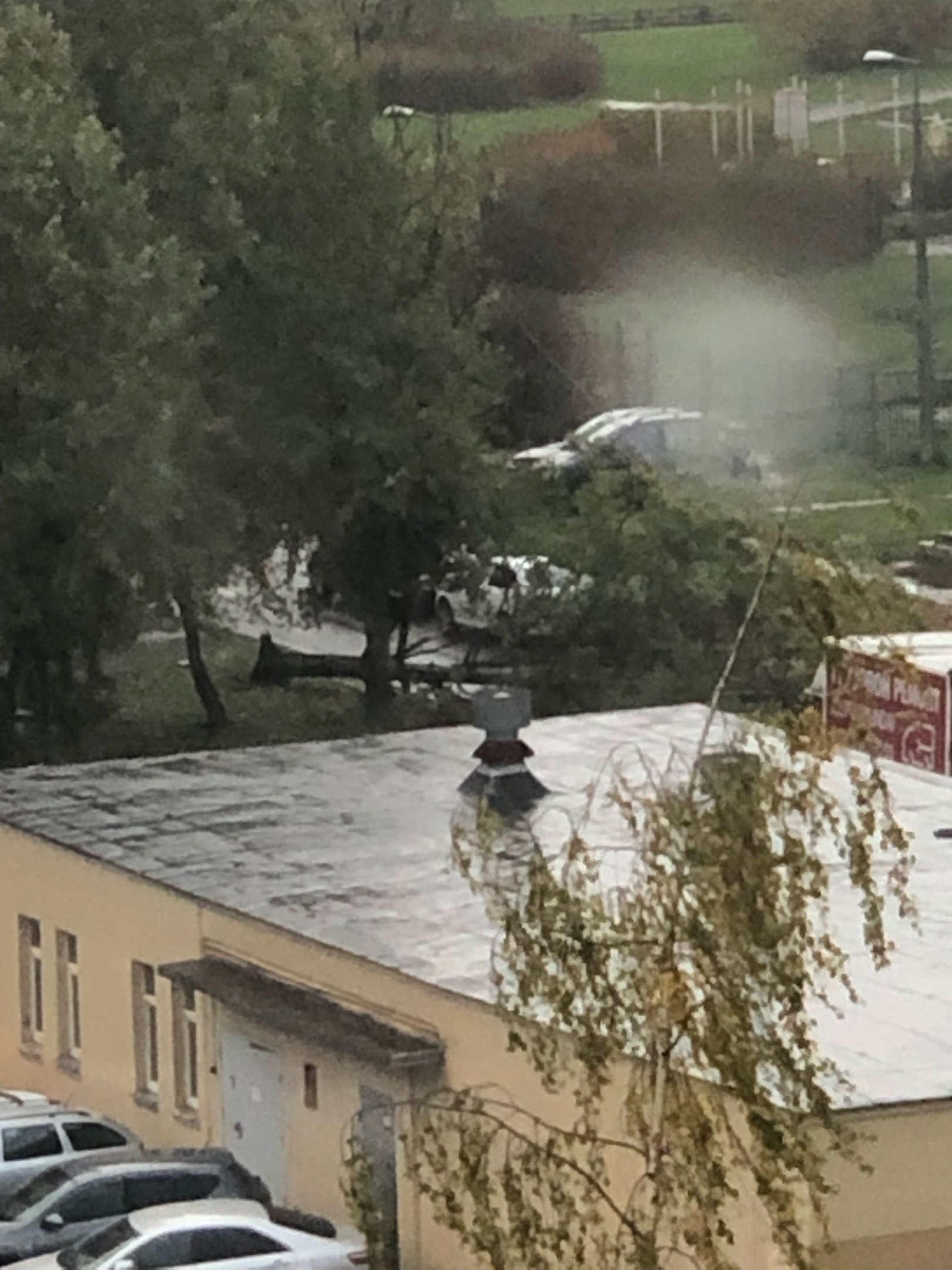 В Петербурге ветер ронял деревья, светофоры и сдувал торговые палатки —  Мегаполис