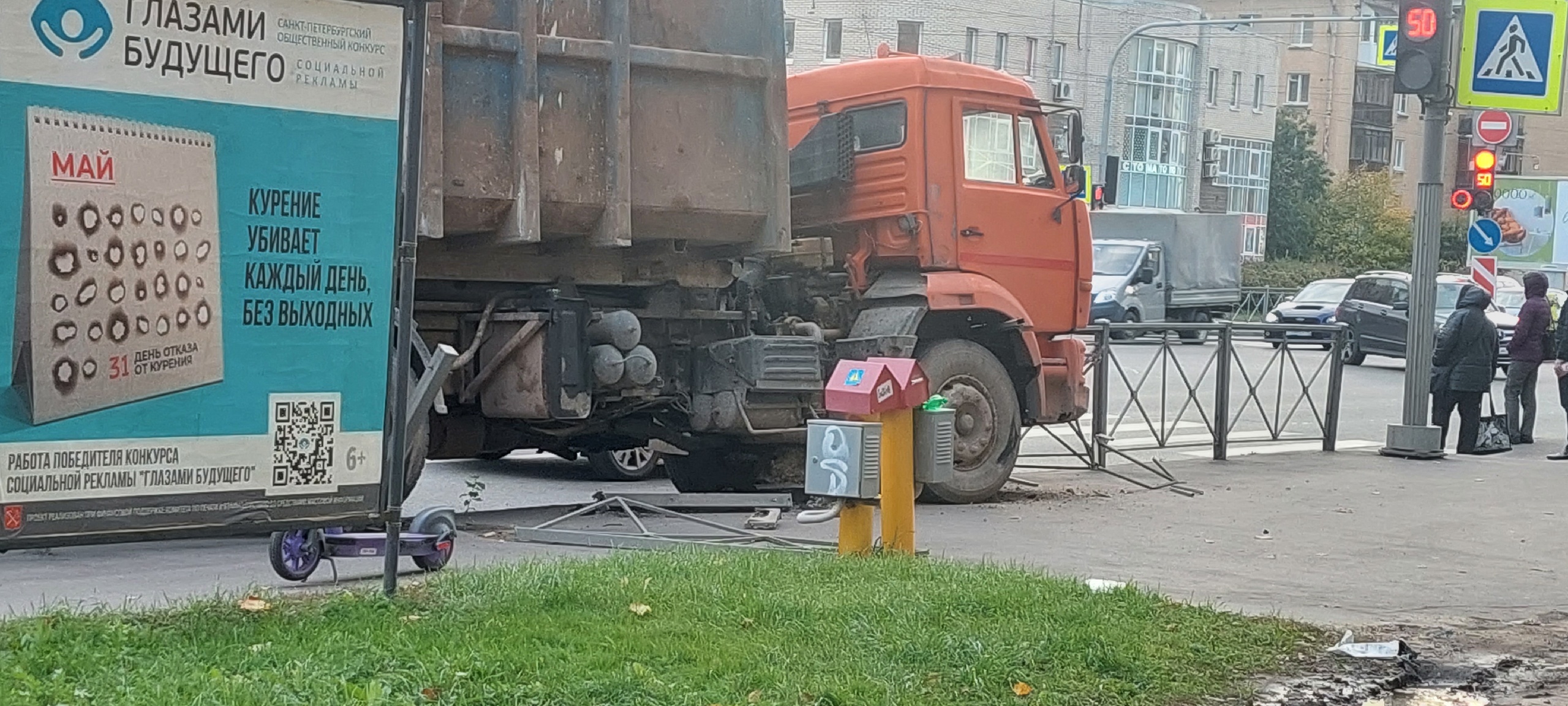 На Обводном канале спасли сову, наблюдавшую за нарушениями ПДД — Мегаполис