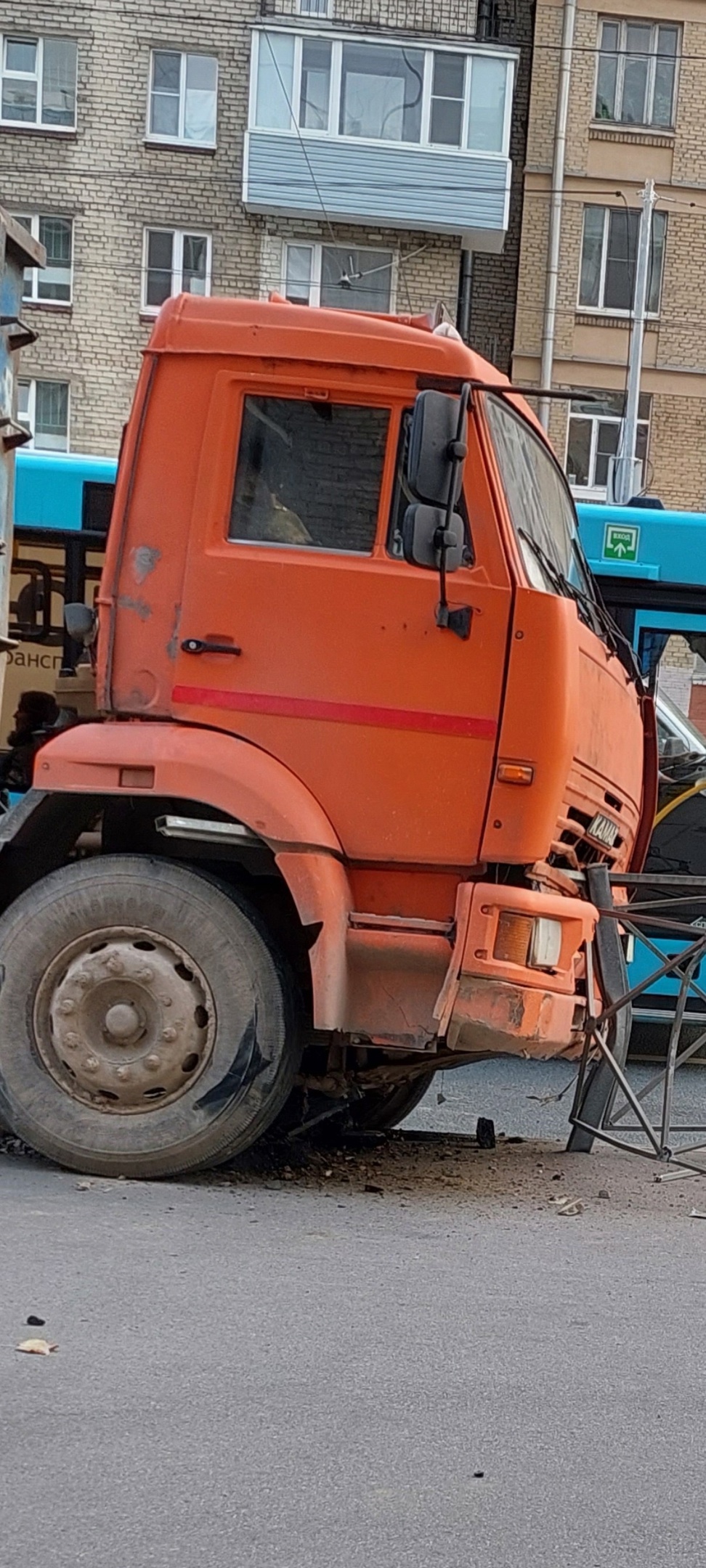 На Обводном канале спасли сову, наблюдавшую за нарушениями ПДД — Мегаполис